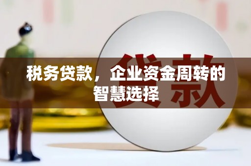吐鲁番税务贷款，企业资金周转的智慧选择