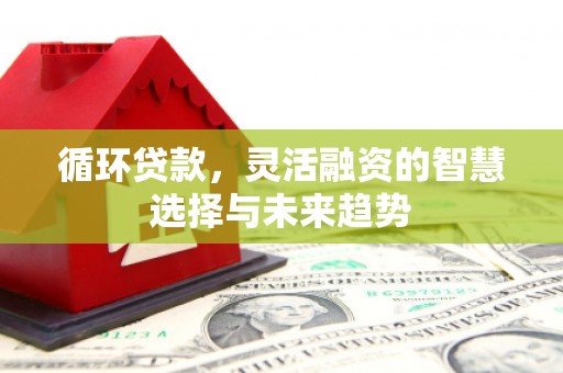 吐鲁番循环贷款，灵活融资的智慧选择与未来趋势