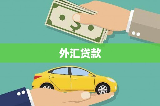 吐鲁番外汇贷款