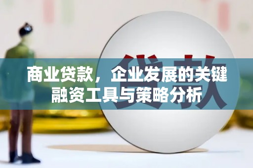 吐鲁番商业贷款，企业发展的关键融资工具与策略分析