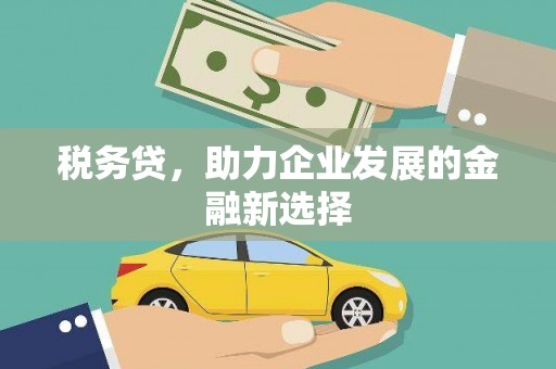 吐鲁番税务贷，助力企业发展的金融新选择