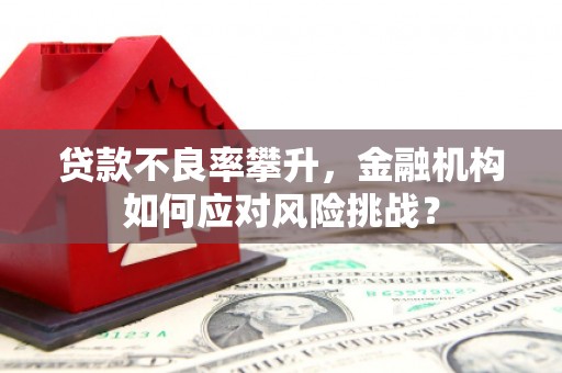 吐鲁番贷款不良率攀升，金融机构如何应对风险挑战？