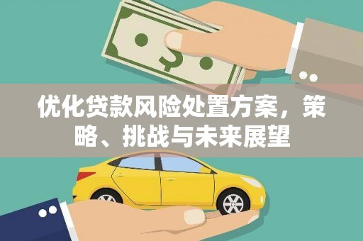 吐鲁番优化贷款风险处置方案，策略、挑战与未来展望