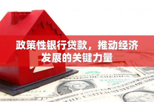 吐鲁番政策性银行贷款，推动经济发展的关键力量