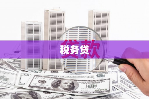 吐鲁番税务贷
