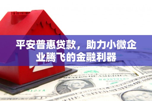 吐鲁番平安普惠贷款，助力小微企业腾飞的金融利器