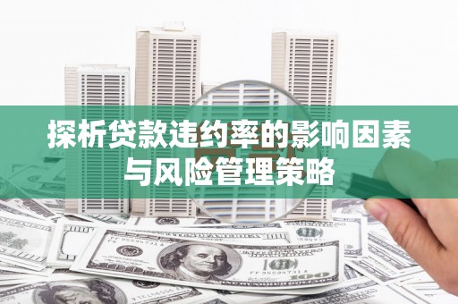吐鲁番探析贷款违约率的影响因素与风险管理策略