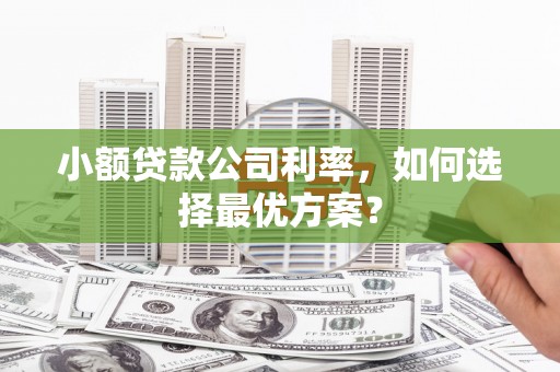 吐鲁番小额贷款公司利率，如何选择最优方案？
