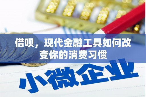 吐鲁番借呗，现代金融工具如何改变你的消费习惯