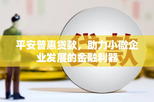吐鲁番平安普惠贷款，助力小微企业发展的金融利器