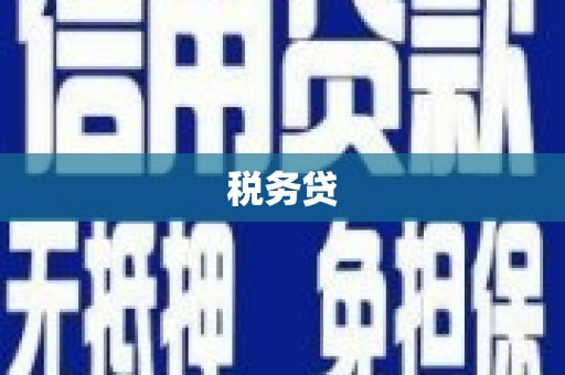 吐鲁番税务贷