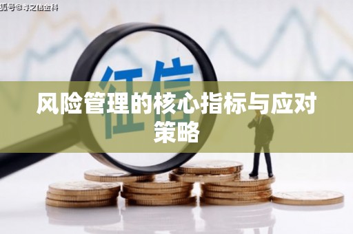 吐鲁番风险管理的核心指标与应对策略