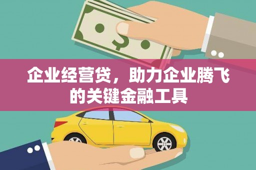 吐鲁番企业经营贷，助力企业腾飞的关键金融工具