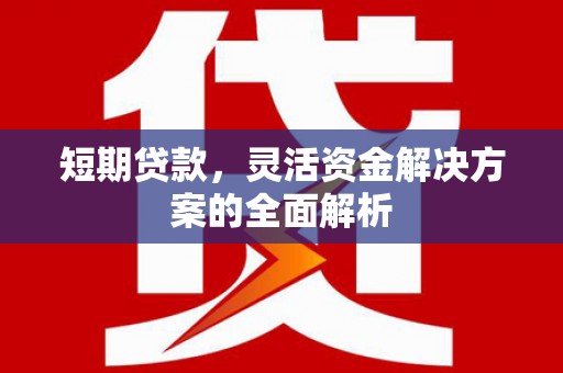 吐鲁番短期贷款，灵活资金解决方案的全面解析