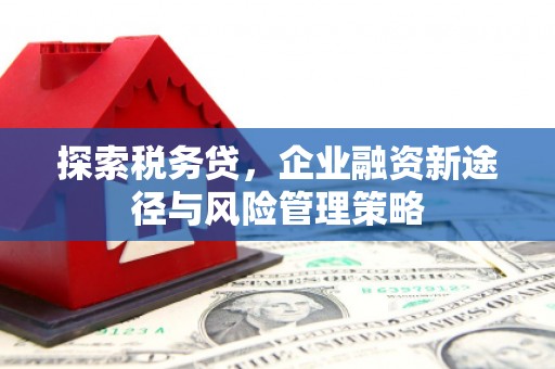 吐鲁番探索税务贷，企业融资新途径与风险管理策略