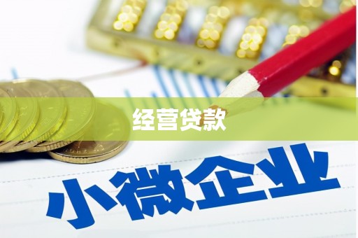 吐鲁番经营贷款