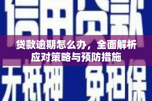 吐鲁番贷款逾期怎么办，全面解析应对策略与预防措施