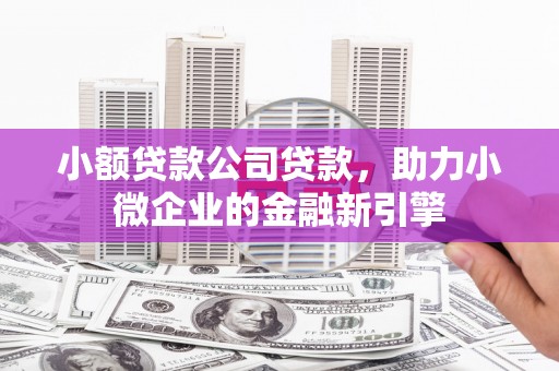 吐鲁番小额贷款公司贷款，助力小微企业的金融新引擎
