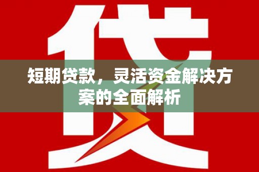 吐鲁番短期贷款，灵活资金解决方案的全面解析