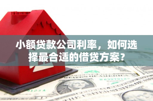 吐鲁番小额贷款公司利率，如何选择最合适的借贷方案？
