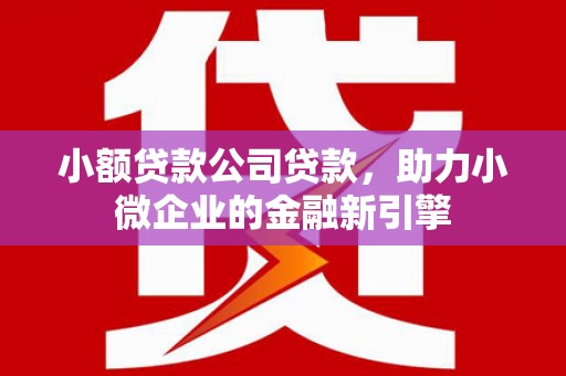 吐鲁番小额贷款公司贷款，助力小微企业的金融新引擎