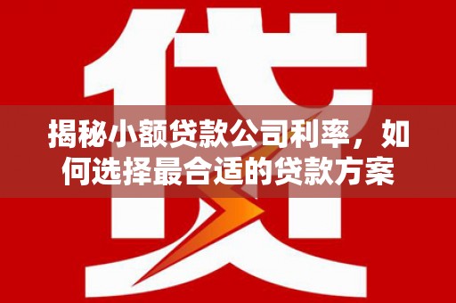 吐鲁番揭秘小额贷款公司利率，如何选择最合适的贷款方案