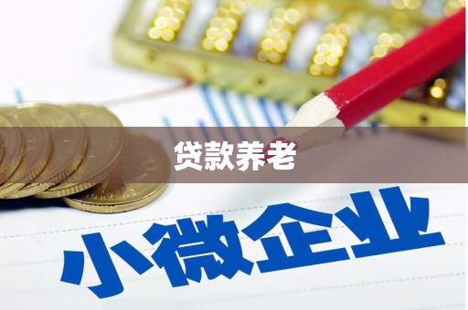 吐鲁番贷款养老