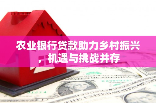 吐鲁番农业银行贷款助力乡村振兴，机遇与挑战并存
