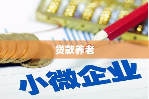 吐鲁番贷款养老