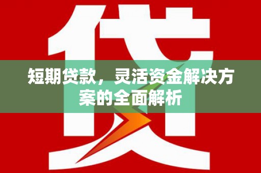 吐鲁番短期贷款，灵活资金解决方案的全面解析