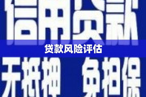 吐鲁番贷款风险评估