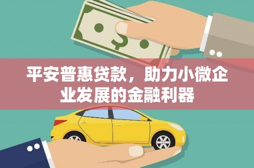 吐鲁番平安普惠贷款，助力小微企业发展的金融利器