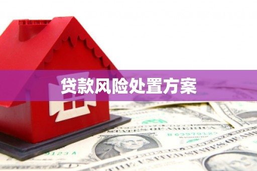 吐鲁番贷款风险处置方案