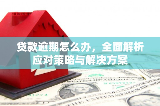吐鲁番贷款逾期怎么办，全面解析应对策略与解决方案