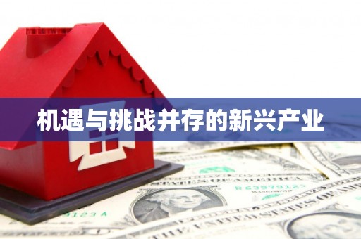吐鲁番机遇与挑战并存的新兴产业