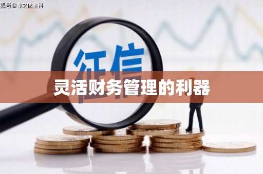 吐鲁番灵活财务管理的利器