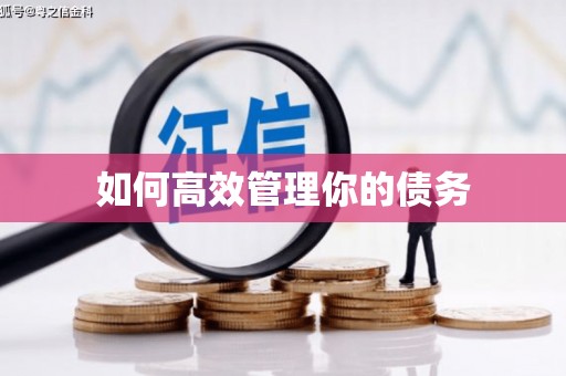 吐鲁番如何高效管理你的债务