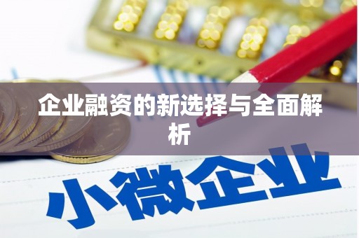 吐鲁番企业融资的新选择与全面解析