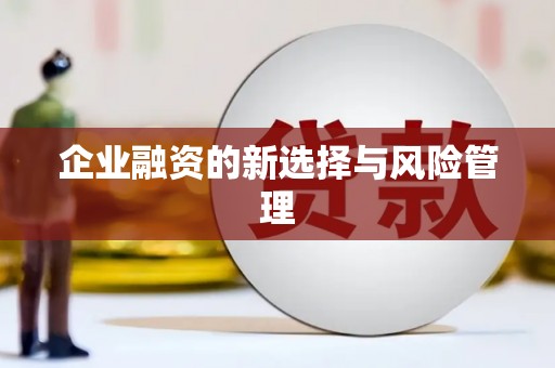 吐鲁番企业融资的新选择与风险管理