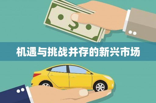 吐鲁番机遇与挑战并存的新兴市场