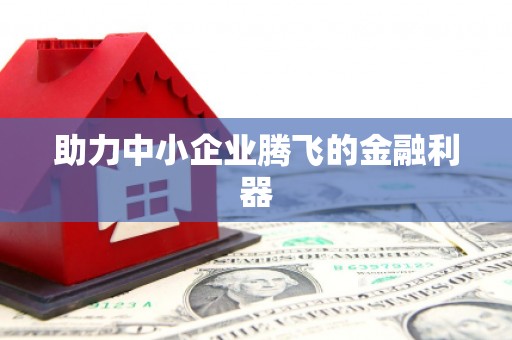 吐鲁番助力中小企业腾飞的金融利器