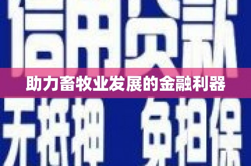吐鲁番助力畜牧业发展的金融利器