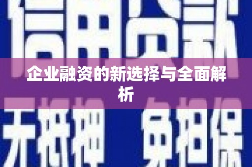 吐鲁番企业融资的新选择与全面解析