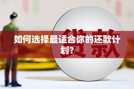 吐鲁番如何选择最适合你的还款计划？