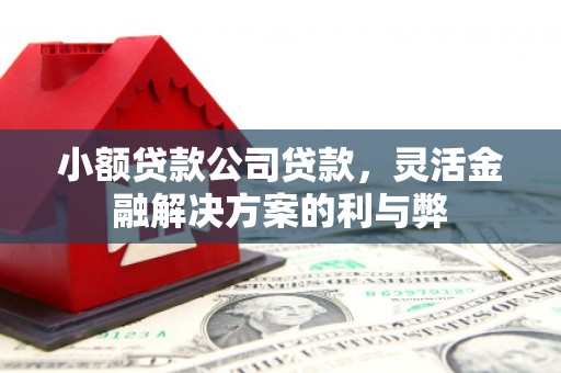 吐鲁番小额贷款公司贷款，灵活金融解决方案的利与弊