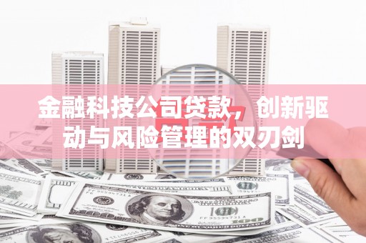 吐鲁番金融科技公司贷款，创新驱动与风险管理的双刃剑